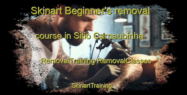 Skinart Beginner's removal course in Sitio Carnaubinha | #RemovalTraining #RemovalClasses #SkinartTraining-Brazil