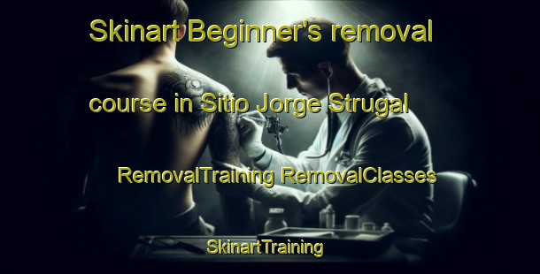 Skinart Beginner's removal course in Sitio Jorge Strugal | #RemovalTraining #RemovalClasses #SkinartTraining-Brazil