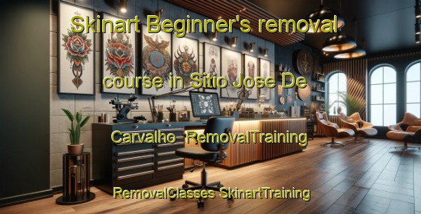 Skinart Beginner's removal course in Sitio Jose De Carvalho | #RemovalTraining #RemovalClasses #SkinartTraining-Brazil