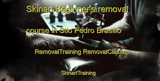 Skinart Beginner's removal course in Stio Pedro Brasilio | #RemovalTraining #RemovalClasses #SkinartTraining-Brazil