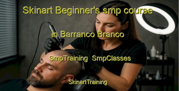 Skinart Beginner's smp course in Barranco Branco | SmpTraining | SmpClasses | SkinartTraining-Brazil