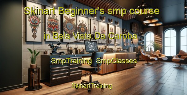 Skinart Beginner's smp course in Bela Vista Da Caroba | SmpTraining | SmpClasses | SkinartTraining-Brazil