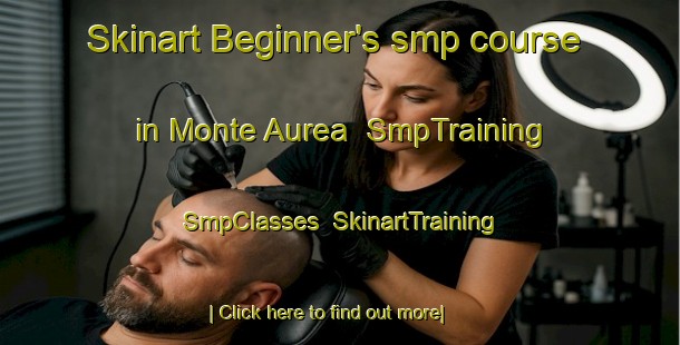 Skinart Beginner's smp course in Monte Aurea | SmpTraining | SmpClasses | SkinartTraining-Brazil