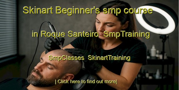 Skinart Beginner's smp course in Roque Santeiro | SmpTraining | SmpClasses | SkinartTraining-Brazil