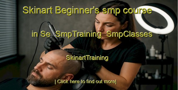 Skinart Beginner's smp course in Se | SmpTraining | SmpClasses | SkinartTraining-Brazil