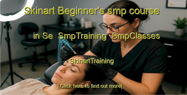 Skinart Beginner's smp course in Se | SmpTraining | SmpClasses | SkinartTraining-Brazil