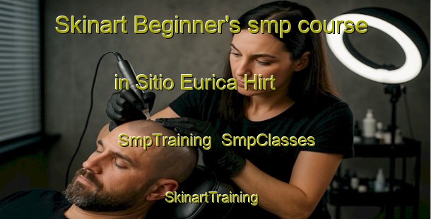 Skinart Beginner's smp course in Sitio Eurica Hirt | SmpTraining | SmpClasses | SkinartTraining-Brazil