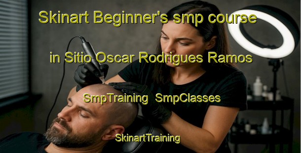 Skinart Beginner's smp course in Sitio Oscar Rodrigues Ramos | SmpTraining | SmpClasses | SkinartTraining-Brazil