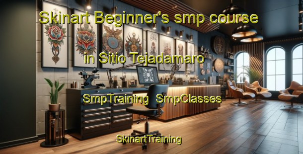 Skinart Beginner's smp course in Sitio Tejadamaro | SmpTraining | SmpClasses | SkinartTraining-Brazil