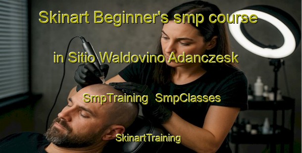Skinart Beginner's smp course in Sitio Waldovino Adanczesk | SmpTraining | SmpClasses | SkinartTraining-Brazil