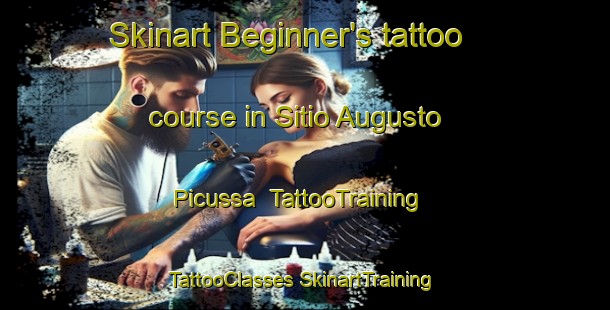 Skinart Beginner's tattoo course in Sitio Augusto Picussa | #TattooTraining #TattooClasses #SkinartTraining-Brazil