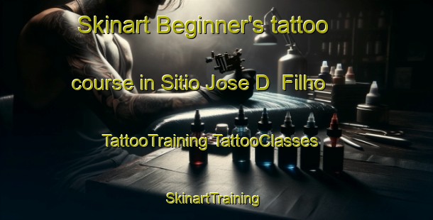 Skinart Beginner's tattoo course in Sitio Jose D  Filho | #TattooTraining #TattooClasses #SkinartTraining-Brazil