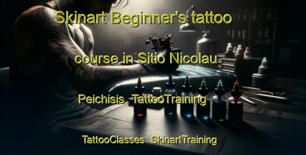 Skinart Beginner's tattoo course in Sitio Nicolau Peichisis | TattooTraining | TattooClasses | SkinartTraining-Brazil