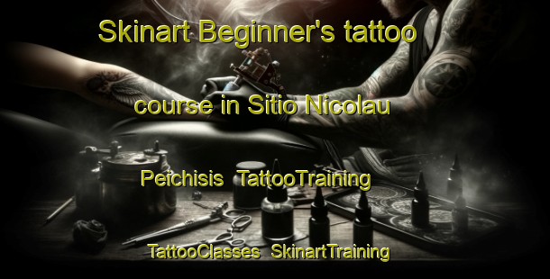 Skinart Beginner's tattoo course in Sitio Nicolau Peichisis | TattooTraining | TattooClasses | SkinartTraining-Brazil