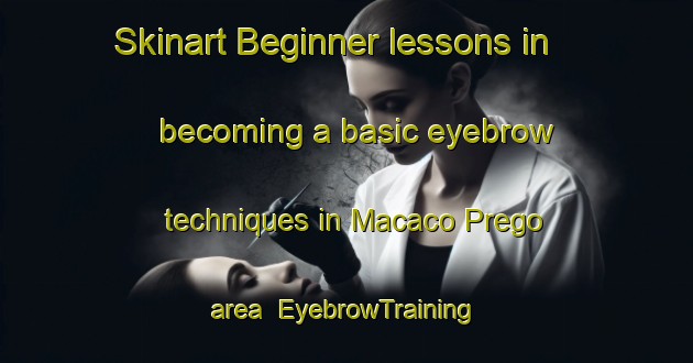 Skinart Beginner lessons in becoming a basic eyebrow techniques in Macaco Prego area | EyebrowTraining | EyebrowClasses | SkinartTraining-Brazil