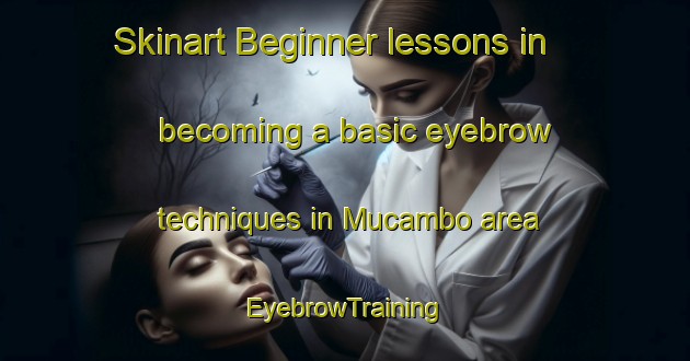 Skinart Beginner lessons in becoming a basic eyebrow techniques in Mucambo area | EyebrowTraining | EyebrowClasses | SkinartTraining-Brazil