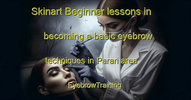 Skinart Beginner lessons in becoming a basic eyebrow techniques in Parari area | EyebrowTraining | EyebrowClasses | SkinartTraining-Brazil