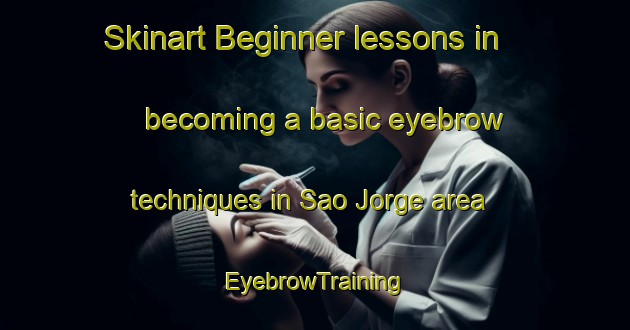 Skinart Beginner lessons in becoming a basic eyebrow techniques in Sao Jorge area | EyebrowTraining | EyebrowClasses | SkinartTraining-Brazil