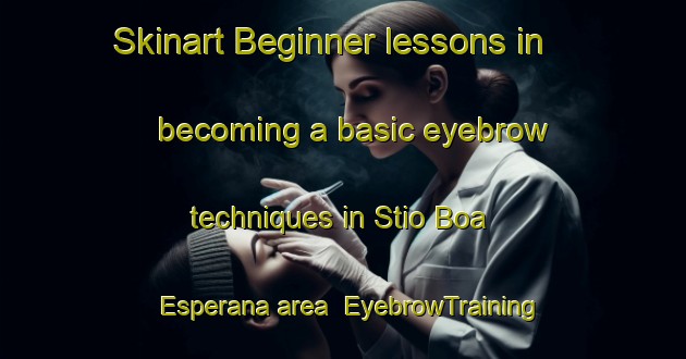 Skinart Beginner lessons in becoming a basic eyebrow techniques in Stio Boa Esperana area | EyebrowTraining | EyebrowClasses | SkinartTraining-Brazil
