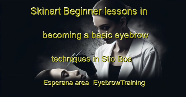 Skinart Beginner lessons in becoming a basic eyebrow techniques in Stio Boa Esperana area | EyebrowTraining | EyebrowClasses | SkinartTraining-Brazil