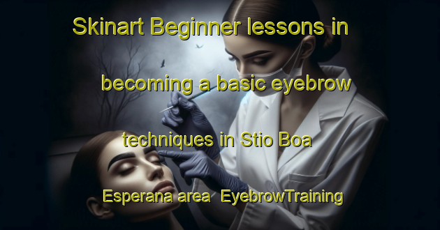 Skinart Beginner lessons in becoming a basic eyebrow techniques in Stio Boa Esperana area | EyebrowTraining | EyebrowClasses | SkinartTraining-Brazil