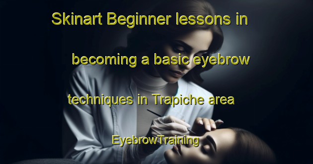 Skinart Beginner lessons in becoming a basic eyebrow techniques in Trapiche area | EyebrowTraining | EyebrowClasses | SkinartTraining-Brazil