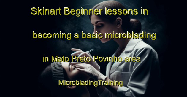 Skinart Beginner lessons in becoming a basic microblading in Mato Preto Povinho area | MicrobladingTraining | MicrobladingClasses | SkinartTraining-Brazil