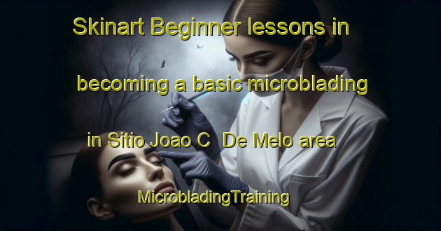 Skinart Beginner lessons in becoming a basic microblading in Sitio Joao C  De Melo area | MicrobladingTraining | MicrobladingClasses | SkinartTraining-Brazil