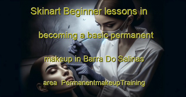 Skinart Beginner lessons in becoming a basic permanent makeup in Barra Do Salinas area | PermanentmakeupTraining | PermanentmakeupClasses | SkinartTraining-Brazil