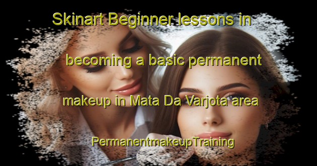 Skinart Beginner lessons in becoming a basic permanent makeup in Mata Da Varjota area | PermanentmakeupTraining | PermanentmakeupClasses | SkinartTraining-Brazil