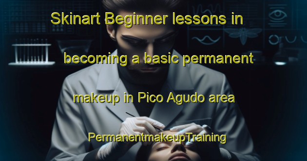 Skinart Beginner lessons in becoming a basic permanent makeup in Pico Agudo area | PermanentmakeupTraining | PermanentmakeupClasses | SkinartTraining-Brazil