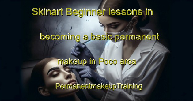 Skinart Beginner lessons in becoming a basic permanent makeup in Poco area | PermanentmakeupTraining | PermanentmakeupClasses | SkinartTraining-Brazil