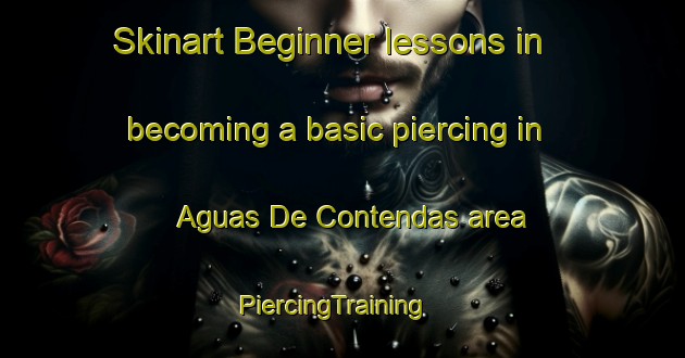 Skinart Beginner lessons in becoming a basic piercing in Aguas De Contendas area | PiercingTraining | PiercingClasses | SkinartTraining-Brazil