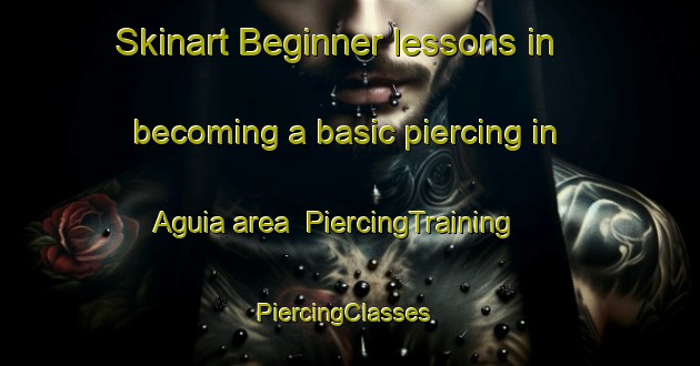 Skinart Beginner lessons in becoming a basic piercing in Aguia area | PiercingTraining | PiercingClasses | SkinartTraining-Brazil