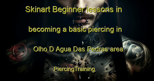 Skinart Beginner lessons in becoming a basic piercing in Olho D Agua Das Pedras area | PiercingTraining | PiercingClasses | SkinartTraining-Brazil