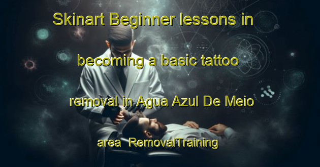 Skinart Beginner lessons in becoming a basic tattoo removal in Agua Azul De Meio area | RemovalTraining | RemovalClasses | SkinartTraining-Brazil