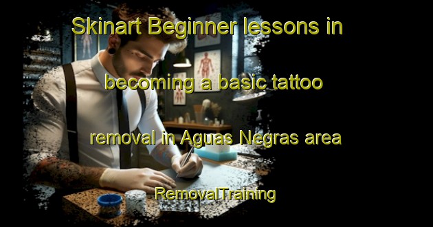 Skinart Beginner lessons in becoming a basic tattoo removal in Aguas Negras area | RemovalTraining | RemovalClasses | SkinartTraining-Brazil