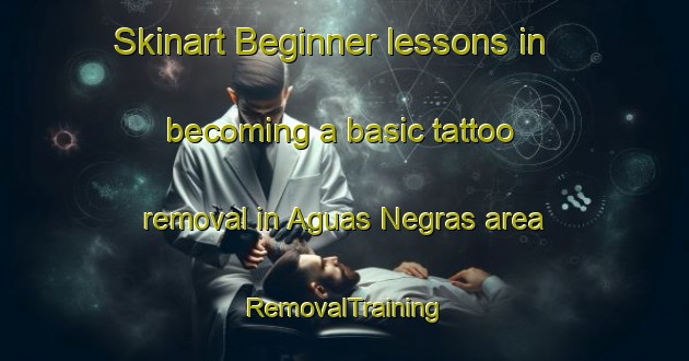 Skinart Beginner lessons in becoming a basic tattoo removal in Aguas Negras area | RemovalTraining | RemovalClasses | SkinartTraining-Brazil