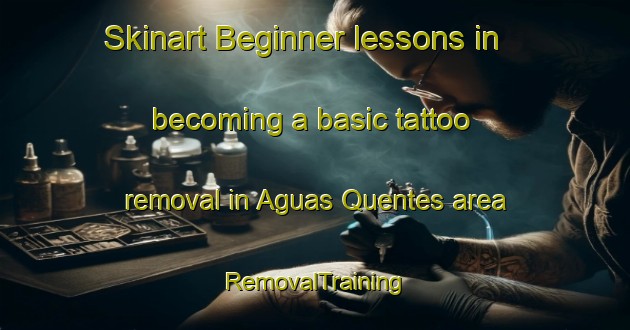 Skinart Beginner lessons in becoming a basic tattoo removal in Aguas Quentes area | RemovalTraining | RemovalClasses | SkinartTraining-Brazil