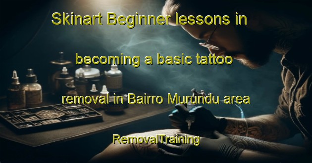 Skinart Beginner lessons in becoming a basic tattoo removal in Bairro Murundu area | RemovalTraining | RemovalClasses | SkinartTraining-Brazil