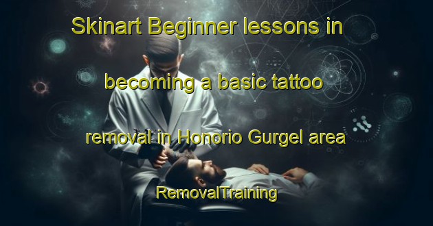 Skinart Beginner lessons in becoming a basic tattoo removal in Honorio Gurgel area | RemovalTraining | RemovalClasses | SkinartTraining-Brazil