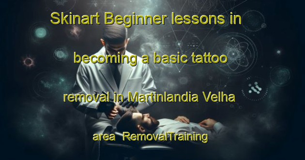 Skinart Beginner lessons in becoming a basic tattoo removal in Martinlandia Velha area | RemovalTraining | RemovalClasses | SkinartTraining-Brazil