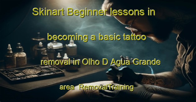 Skinart Beginner lessons in becoming a basic tattoo removal in Olho D Agua Grande area | RemovalTraining | RemovalClasses | SkinartTraining-Brazil