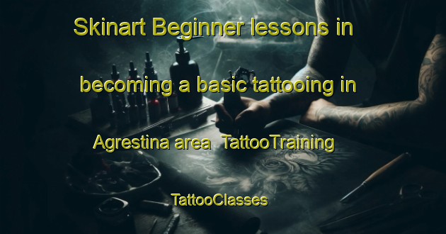 Skinart Beginner lessons in becoming a basic tattooing in Agrestina area | TattooTraining | TattooClasses | SkinartTraining-Brazil