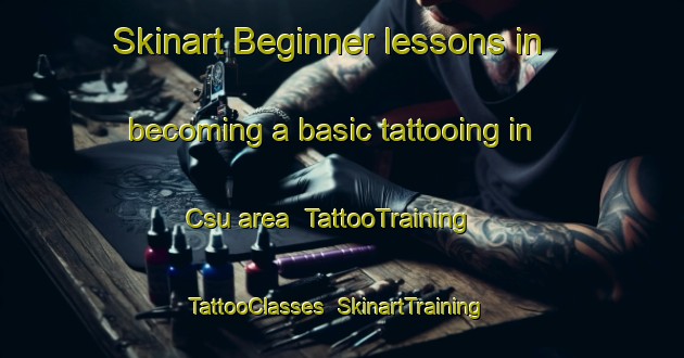 Skinart Beginner lessons in becoming a basic tattooing in Csu area | TattooTraining | TattooClasses | SkinartTraining-Brazil