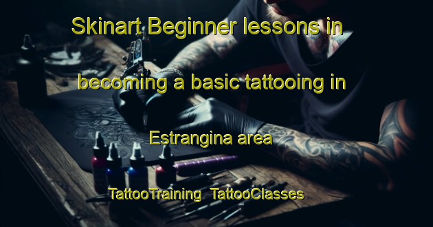 Skinart Beginner lessons in becoming a basic tattooing in Estrangina area | TattooTraining | TattooClasses | SkinartTraining-Brazil