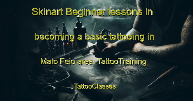 Skinart Beginner lessons in becoming a basic tattooing in Mato Feio area | TattooTraining | TattooClasses | SkinartTraining-Brazil