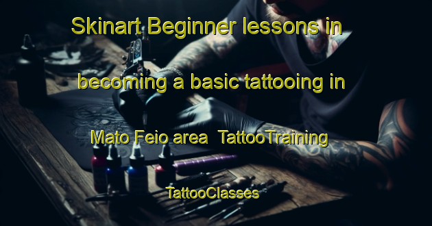 Skinart Beginner lessons in becoming a basic tattooing in Mato Feio area | TattooTraining | TattooClasses | SkinartTraining-Brazil