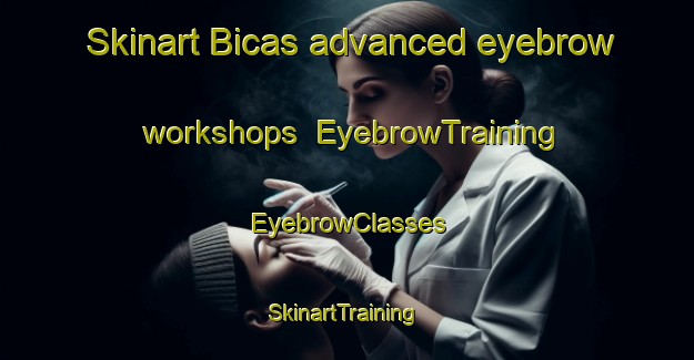 Skinart Bicas advanced eyebrow workshops | EyebrowTraining | EyebrowClasses | SkinartTraining-Brazil