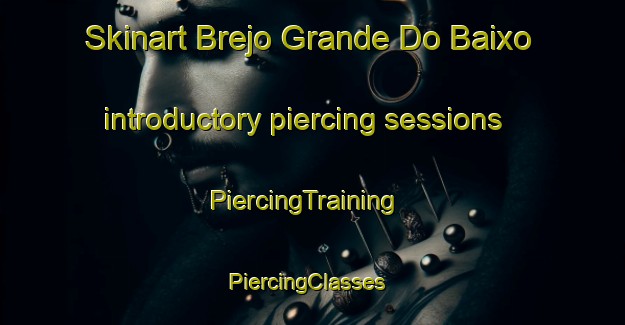 Skinart Brejo Grande Do Baixo introductory piercing sessions | PiercingTraining | PiercingClasses | SkinartTraining-Brazil